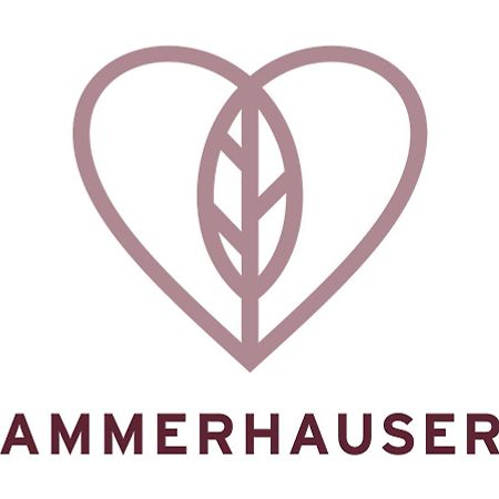 Hotel-Restaurant Ammerhauser Anthering Экстерьер фото